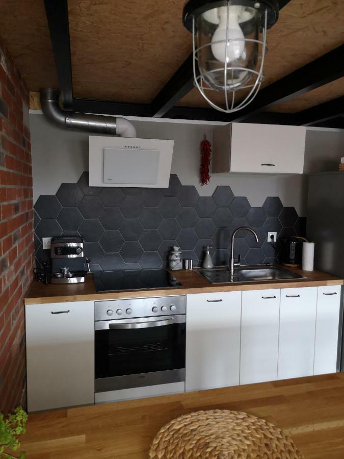 Loftstyle Apartament Zyrardow Dış mekan fotoğraf